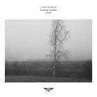 Miska Lamberg - Evening, Window