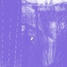 Ken Ikeda - Sparse Memory