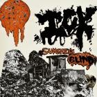 Ick - Sunshine Blind