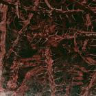 Embrace The Misery - El Colapso Singles