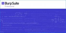 Burp Suite Professional 2022.3.9