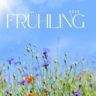 Frühling 2025
