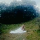 Wisp - If Not Winter