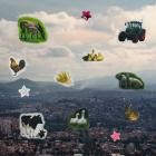 cacomixtle - Flora y Fauna del Estado de Mexico