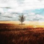 Love Lost - Desolation And What It Means