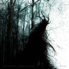 Ayar - The Ritual: Born of Fire