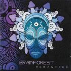Brainforest - Brainforest