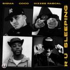 Sigma X Dizzee Rascal X Coco - R U SLEEPING