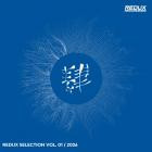 VA - Redux Selection, Vol  1 2026