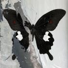 Death Cult - Paradise Now