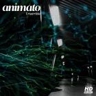 Animato - Ensemble