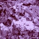 Rumenige - 5-8 Selection