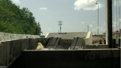 Zu.den.Quellen.des.Essequibo.E01.Im.Delta.German.DOKU.WEB.H264-GWD