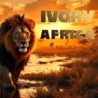 Ivory - Africa