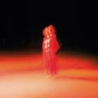 Katherine Priddy - - These Frightening Machines  