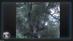 Die.Bestien.im.Auge.-.Die.Tierwelt.Afrikas.wie.Sie.sie.noch.nie.gesehen.haben.E04.GERMAN.DL.DOKU.2013.BDRiP.x264-PtBM