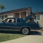 Seafood Sam - DOGS IN THE FRONT YARD