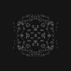 Reflections - Shadow