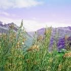 CHLOE (Thevenin) & Vassilena Serafimova - Sequenza Extended