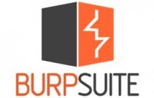 Burp Suite Professional 2025.6.5