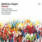 Matthieu Saglio - Voices