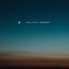 Shell Punk - Midnight