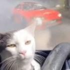 Ethereal - initial E