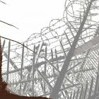 Tatamax - Fairy Glen Appearances (20 Year Digital Edition)