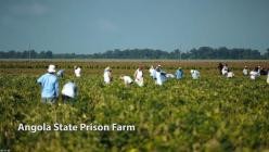 Hurrikan.Katrina.Leben.nach.der.Sintflut.S01E03.GERMAN.DL.DOKU.1080p.WEB.h264-HAXE