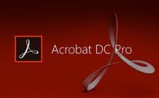Adobe Acrobat Pro DC 2025.001.20458 (x64)