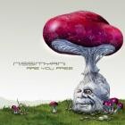 Nissimyani - Are You Free