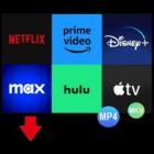 Pazu StreamGet All-In-One Video Downloader v2.7.6