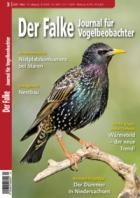 Der Falke - Journal fuer Vogelbeobachter 03/2025