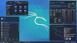 Kali Linux Live 2025.2 (x64)