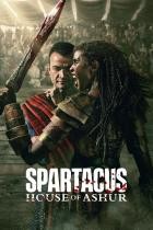 Spartacus Das Haus Ashur - Staffel 1