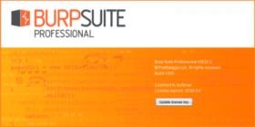 Burp Suite Professional 2021.12.1 Build 11044