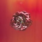 Dardust - #004 Fluidity