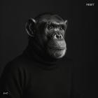 Felsmann x Tiley - Reset