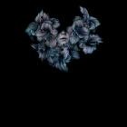 A Lot Like Birds-DIVISI-24BIT-96KHZ-WEB-FLAC-2017-FLACCiD