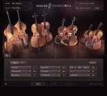 Native Instruments Session Strings Pro 2 v1.0.2