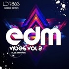 VA  -  EDM Vibes Vol 2