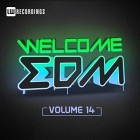 VA - Welcome EDM Vol 14